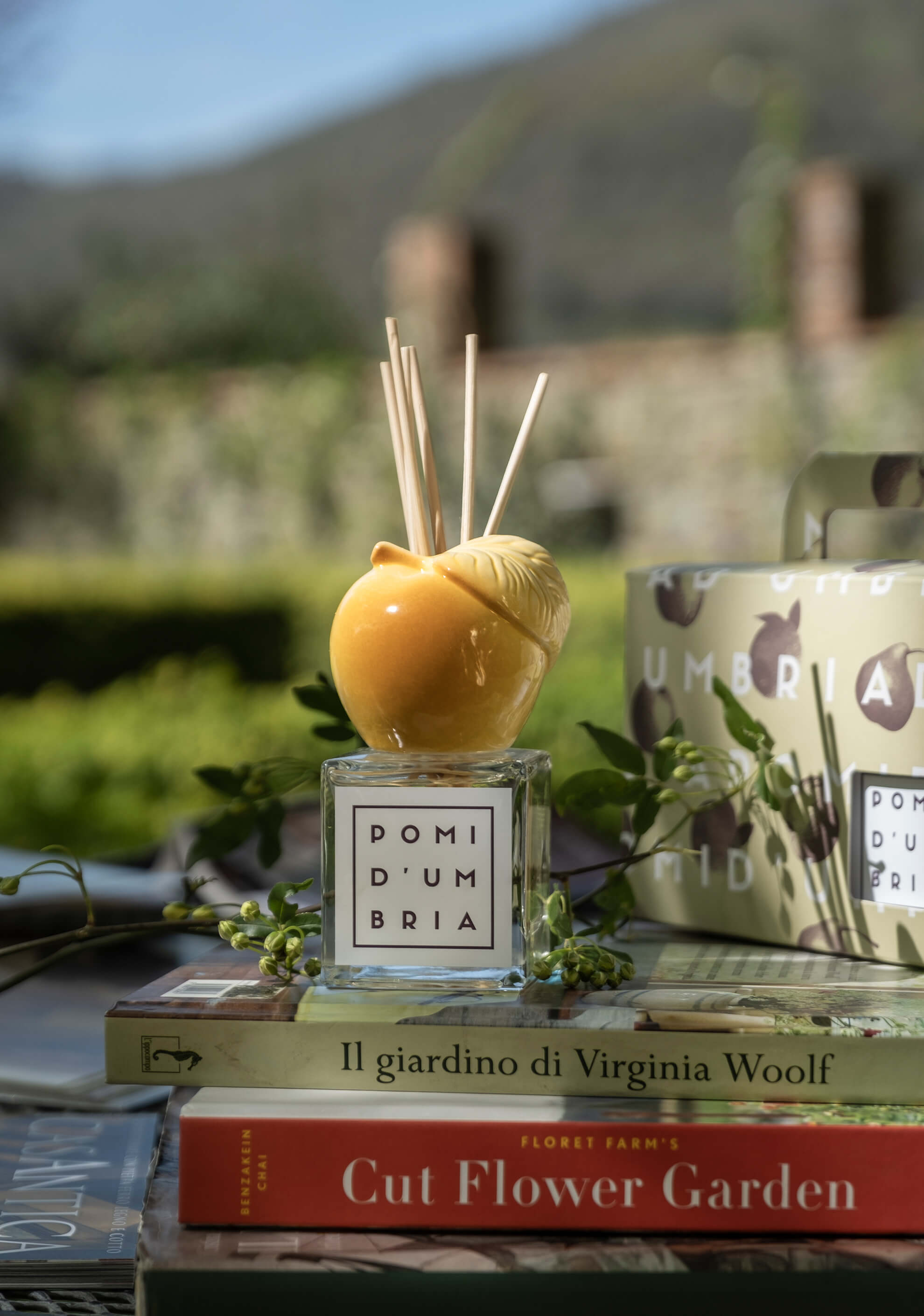 Mela Conventina Gialla